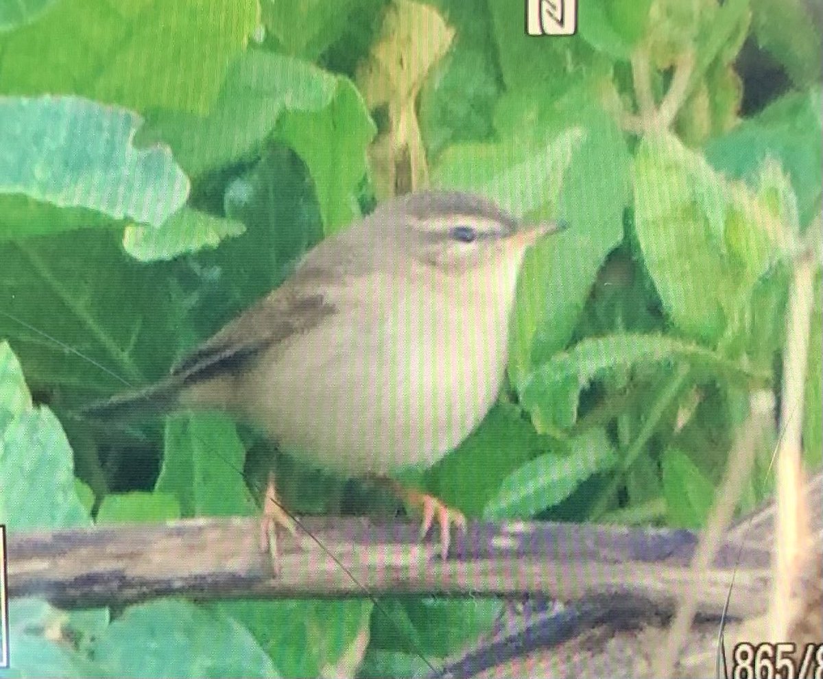 Andy Millar 🇬🇧 tweet media