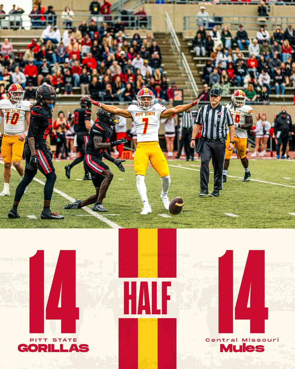 HALFTIME. 🦍
