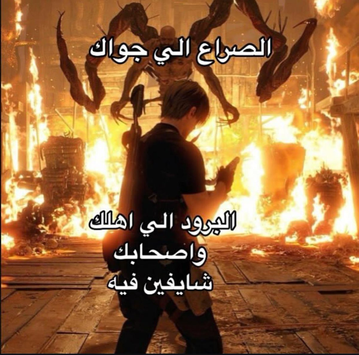 egymeme11's tweet image. 