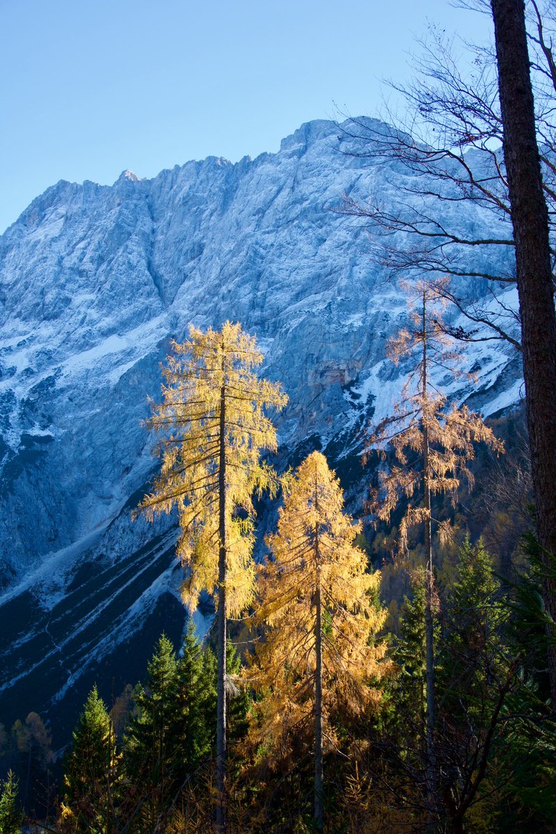 ExploringSlo's tweet image. Soon we’ll start offering a new loop hike in the magical Jezersko valley. This route takes you to some of the most beautiful viewpoints overlooking the enchanting Kamnik–Savinja Alps - about 10 km long with 600 m of ascent. Here are a few highlights from our recent scouting trip!