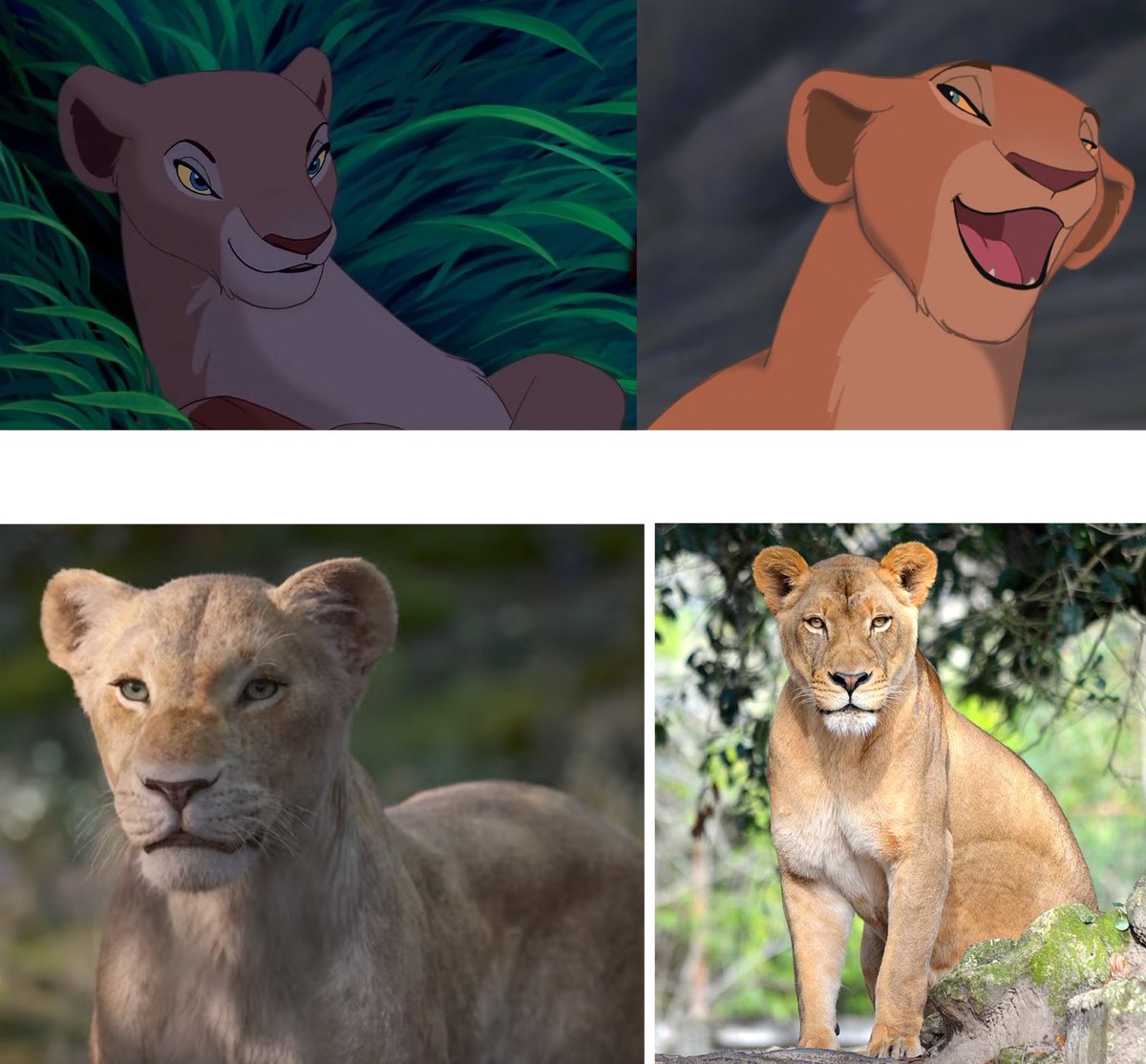 Ratty Bat @cassettebat.bsky.social tweet media