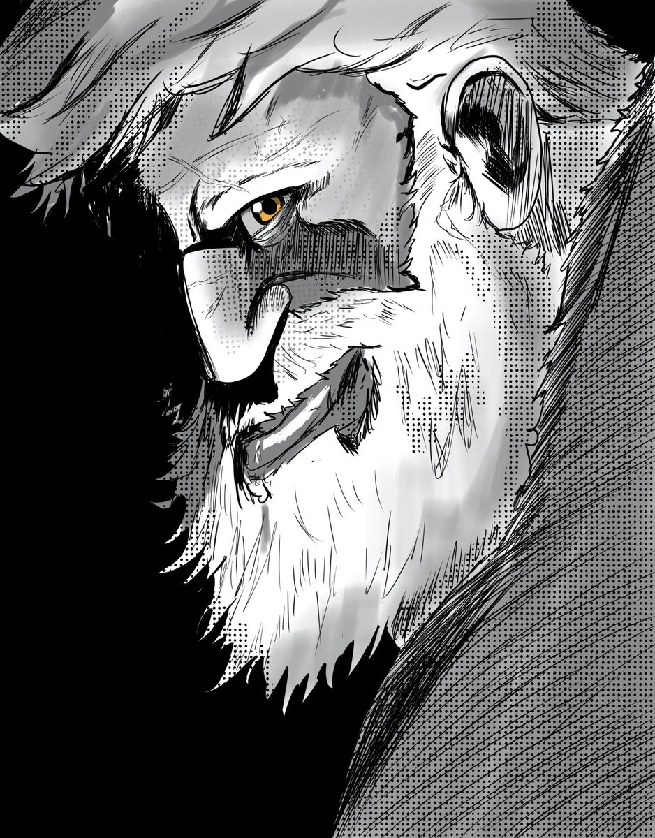 Digital Drawings P3
#oldmanlogan #logan #Wolverine #marvel