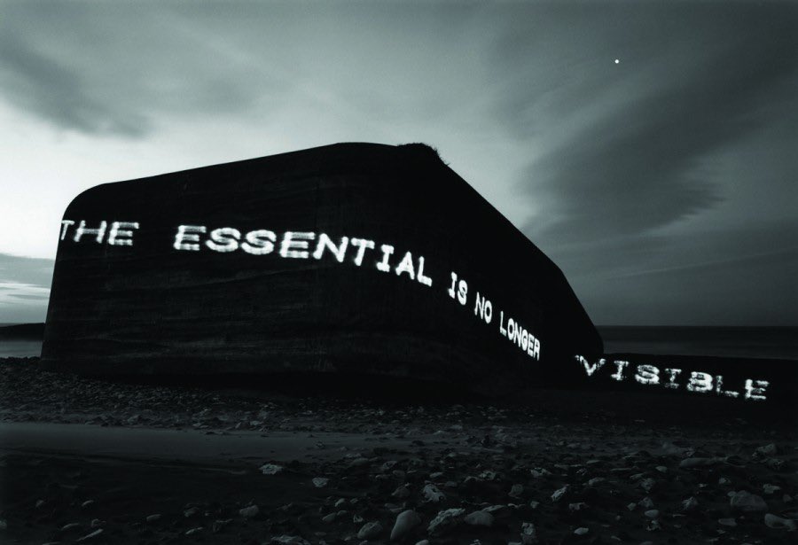 Klaudia Pająk (@allelopatia_) on Twitter photo 