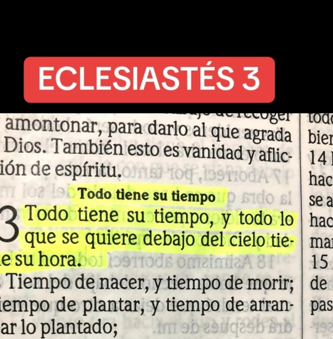 AguilassdeDios's tweet photo. https://t.co/S9kTMp3pdS