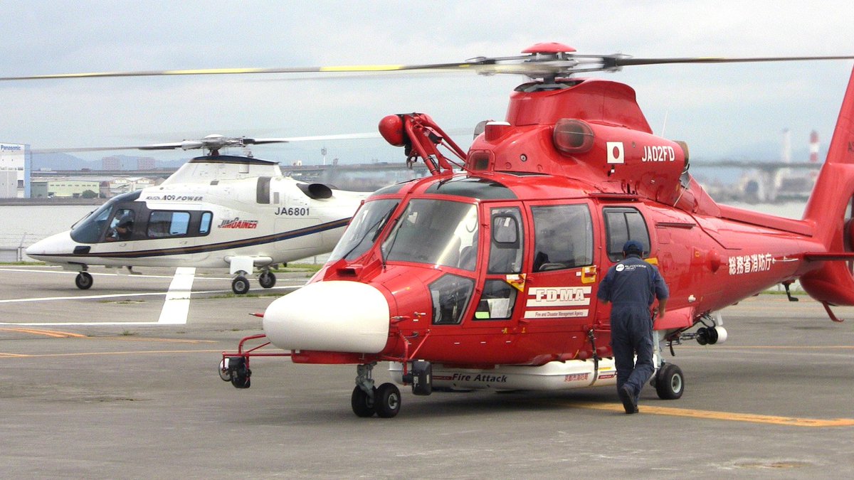 #ドーファンを愛でる会