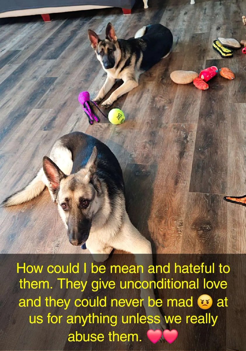 beckvbeck5's tweet photo. They're my Good boys ❤️❤️
Jerry's in the front and Sam's in back. https://t.co/jVmTNcMV7E