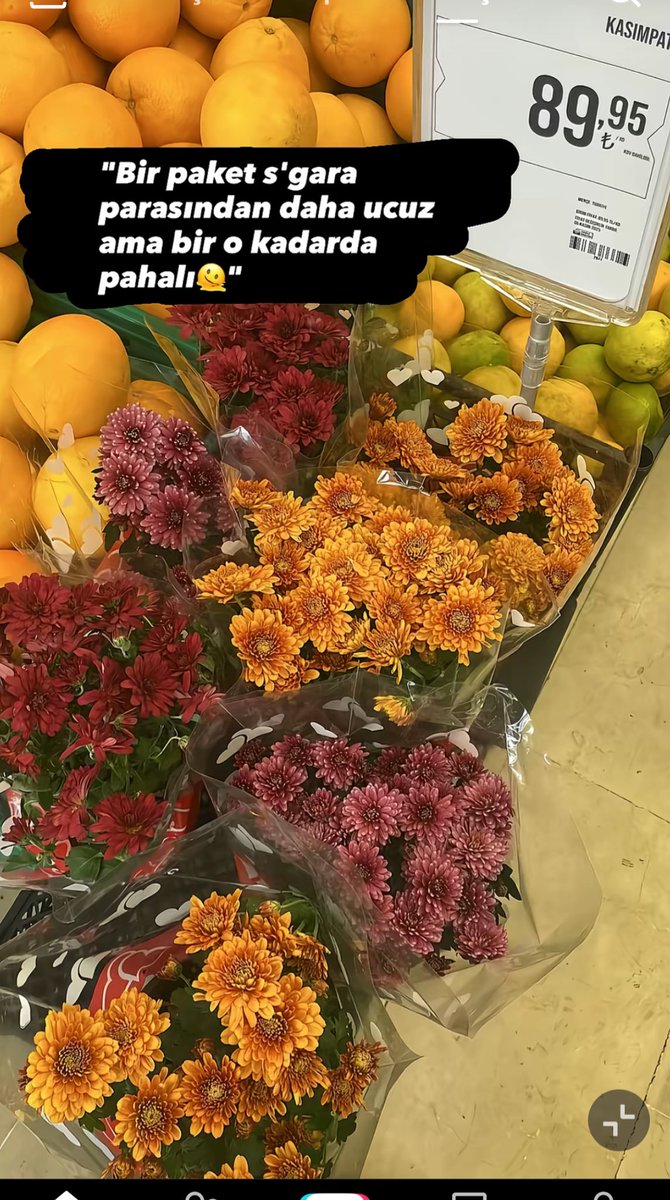 Kasımpatı güzelliği