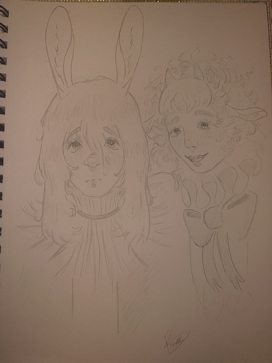 🥹 #yaelokre #meadowlark