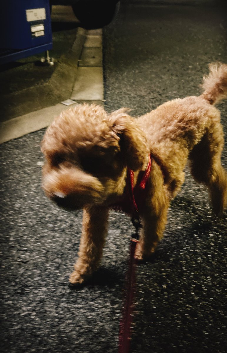 パンダ様＠隠居出来ない垢 (@superpachislo77) / Posts / X