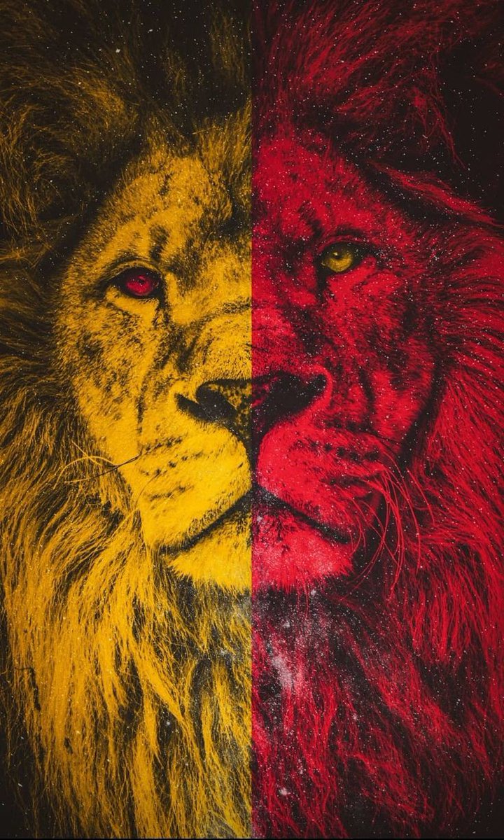 Today is GALATASARAY 💛❤️🔥
#KSvGS #KONSANTRASYON 
#bugüngünlerdengalatasaray #BugünGünlerdenGALATASARAY