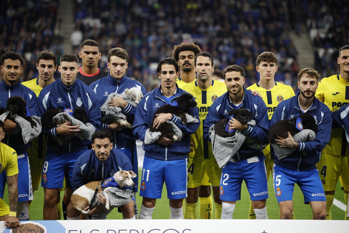 🥹 "Los pericos no abandonan"

🐶💙 Los jugadores del Espanyol saltan al campo con perritos abandonados