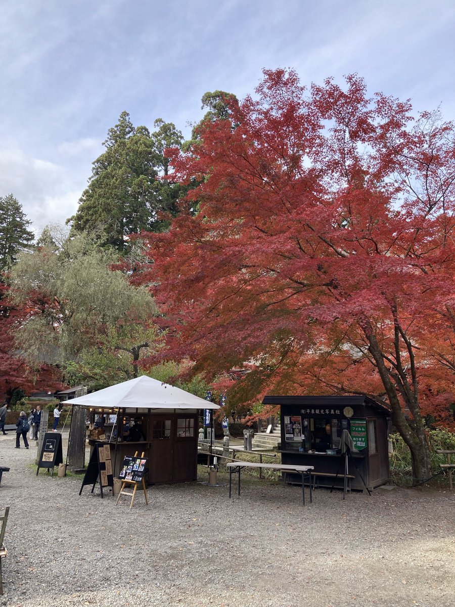 nnmlvmail's tweet image. バイク仲間と中尊寺と藤原の郷にプチ観光したよー😄
中尊寺は紅葉も見頃で色鮮やかで、
藤原の郷は2022年に刀剣乱舞の撮影で使われた場所らしい〜🤗
