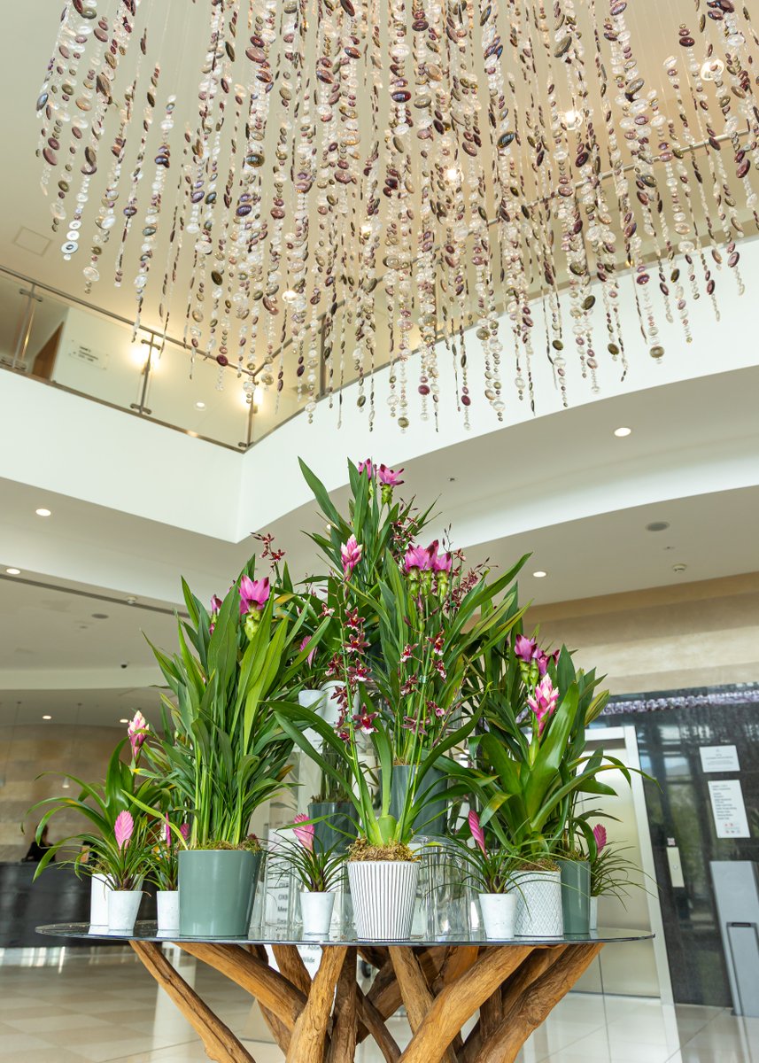 Hilton Reading tweet media