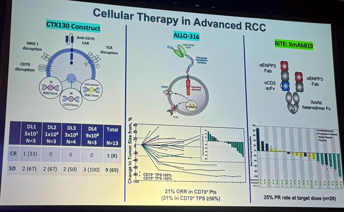 lalaniMD's tweet image. #UromigosLIVE #mRCC panel: 
➡️ anticipating LS-011 data; best designs now for pretreated setting?
➡️ novel MOAs for first-line; using lessons from other tumour types

@OncoAlert 
@AmandaNizamMD
@DrKarineTawagi
@nataliagandur
@ReneeSaliby
@NazliDizman 
@TresUramigas
@weoncologists