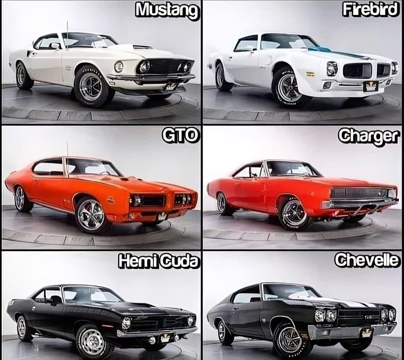 us_connie's tweet photo. You have won a car Which 1 would You choose? 😃 https://t.co/Fo9vzZlsSI