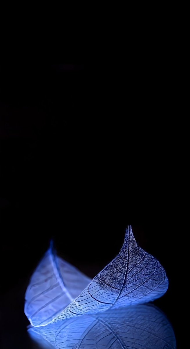 Carlos Valenzuela tweet media