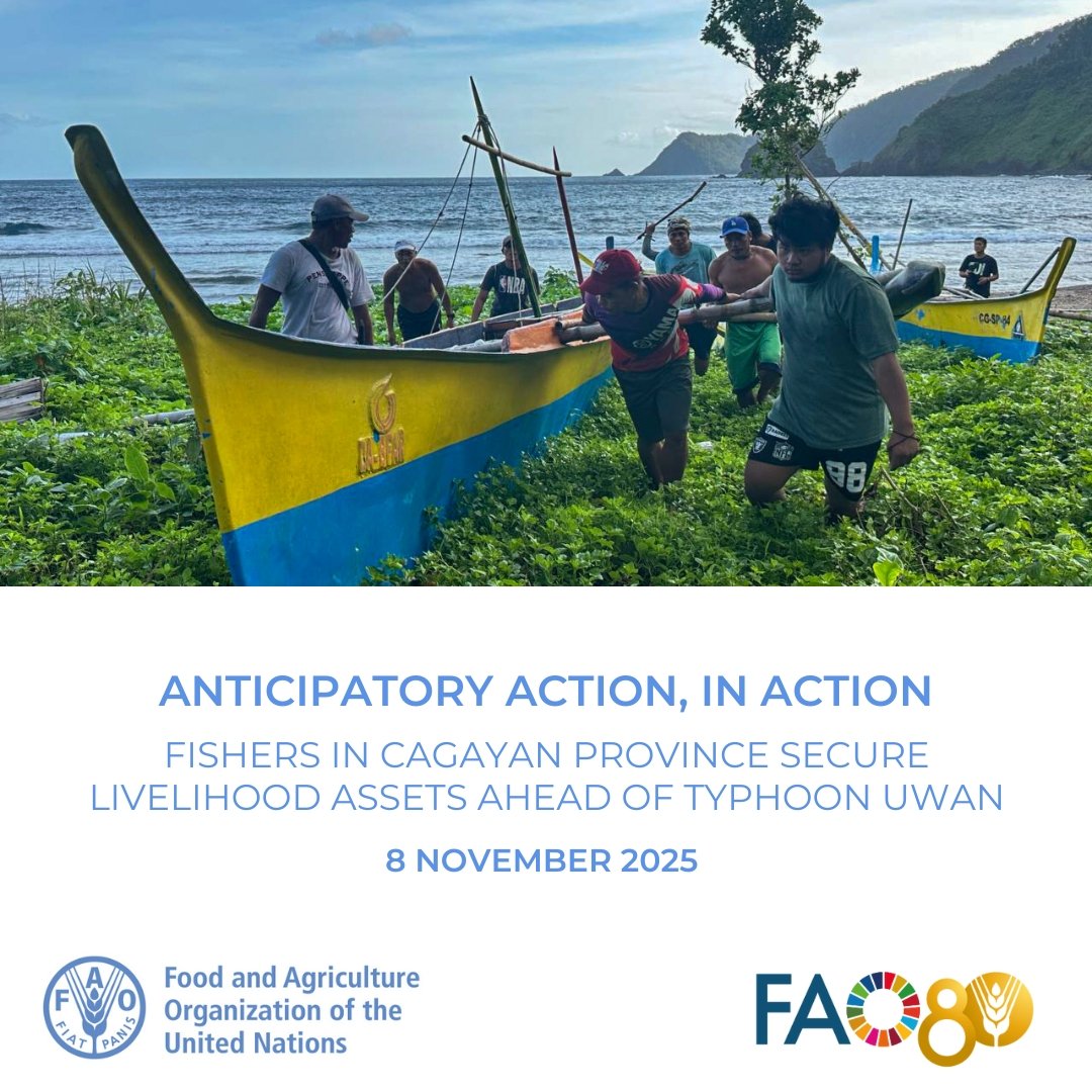 FAO Philippines tweet media