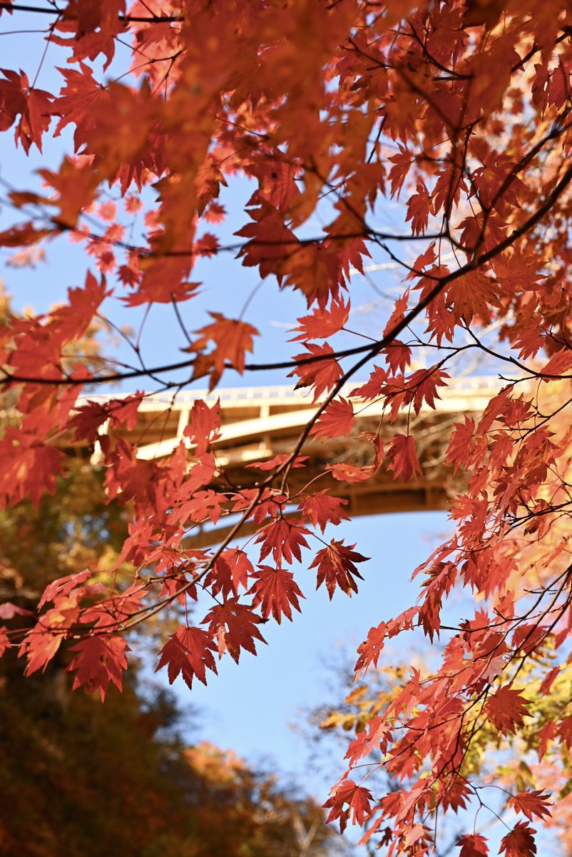 風景写真 Community on X - 7.0K Members