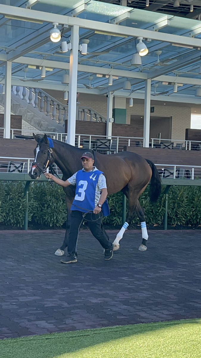 Laurel H-S🏇 tweet media