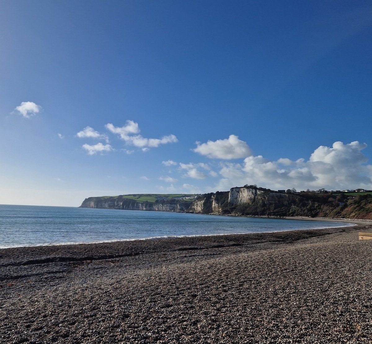 Vicky_Freeman's tweet image. Making the most of the late autumn sunshine.