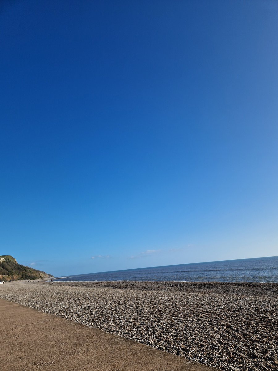 Vicky_Freeman's tweet image. Making the most of the late autumn sunshine.