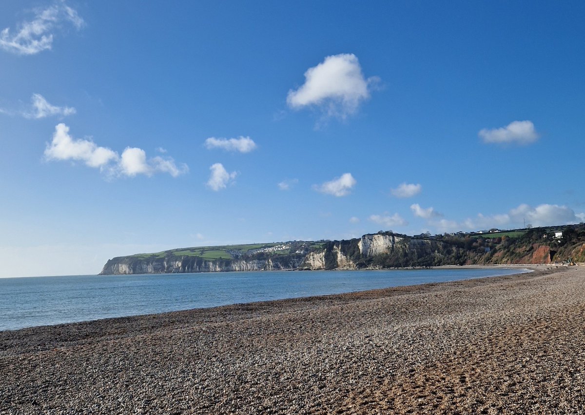 Vicky_Freeman's tweet image. Making the most of the late autumn sunshine.