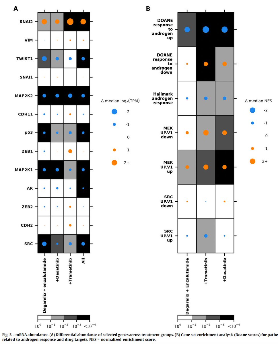 Adam_Weiner535's tweet image. 🚨Neoadjuvant ADT ± MEK/SRC inhibition in high-risk #ProstateCancer 

👉@PCFnews funded RCT in @EurUrolOncol 

🧬 Phase II randomized trial (n=45)
💊 Enzalutamide + degarelix ± trametinib or dasatinib
🔍 ADT+ARSi alone unexpectedly suppressed MEK &amp;amp; SRC pathways
⚠️ Combo therapy…
