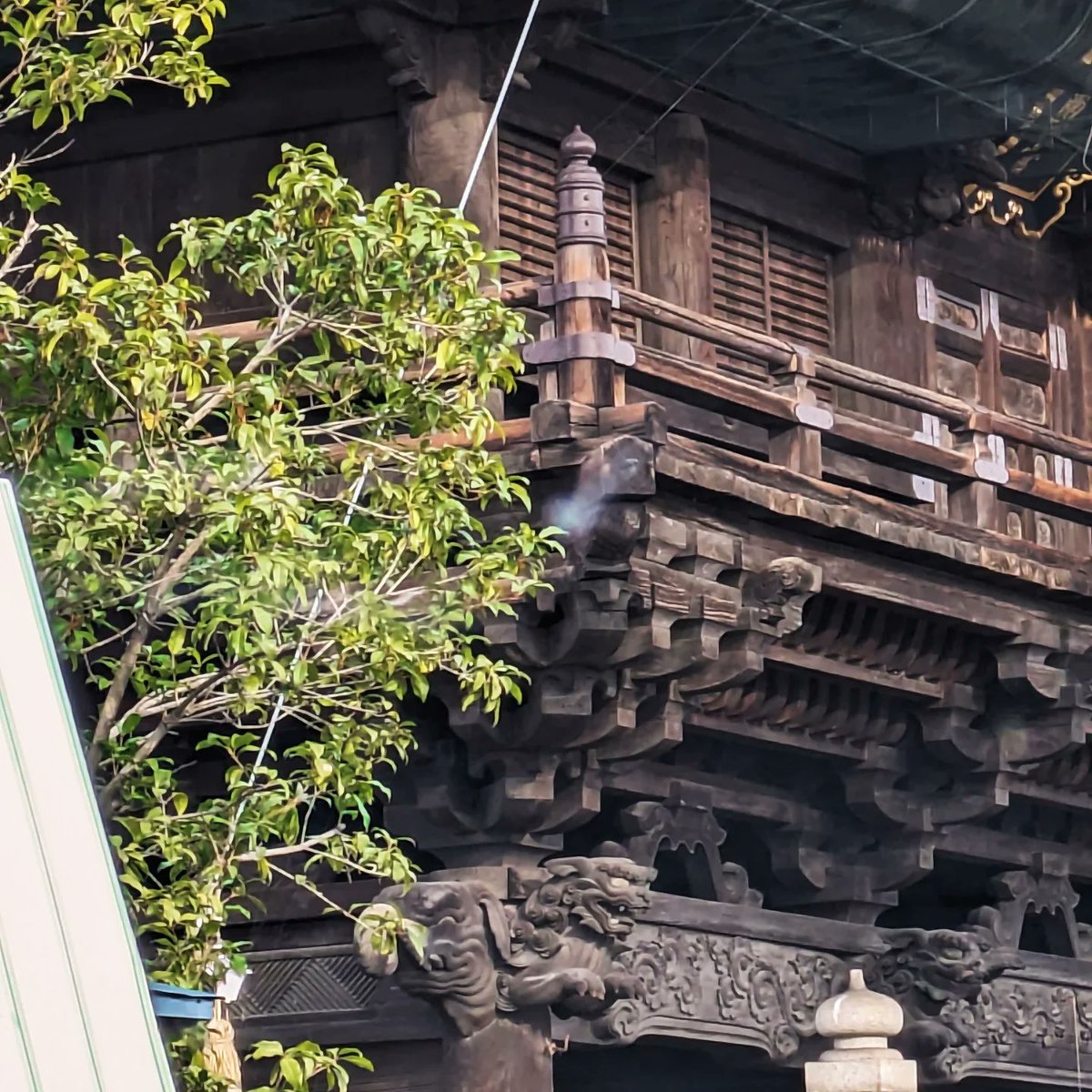 日本近代アルバム　遺品整理にて 現状販売で宜しく御願いいたします!! 買取きらく on X