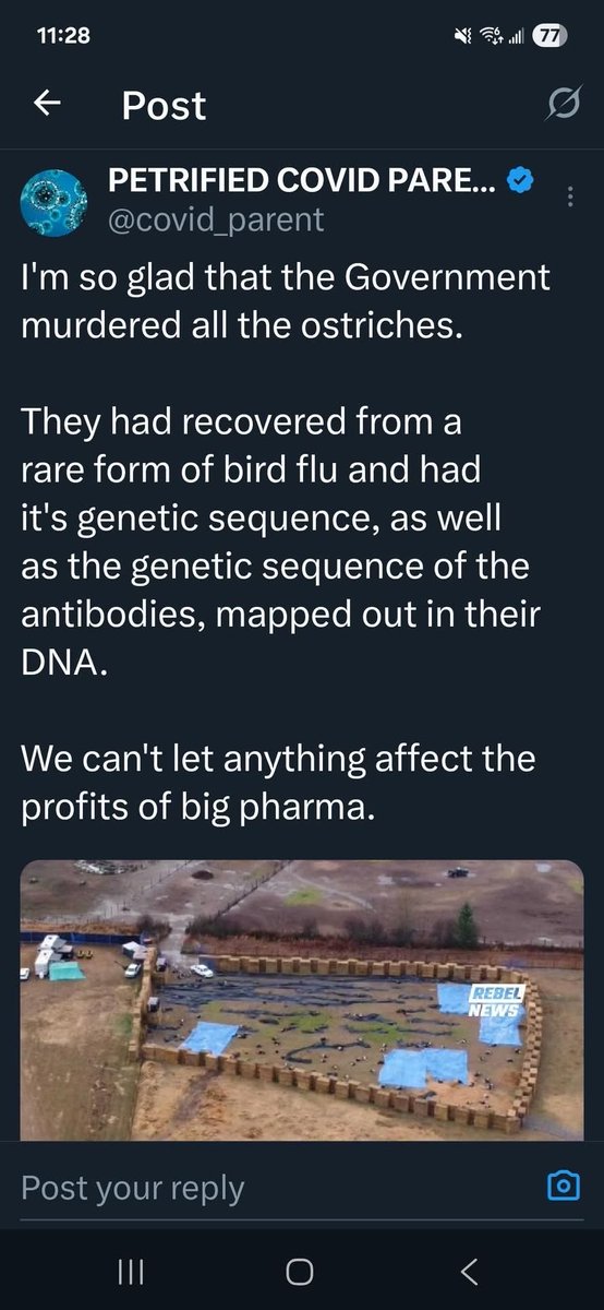 kylekemper's tweet image. 