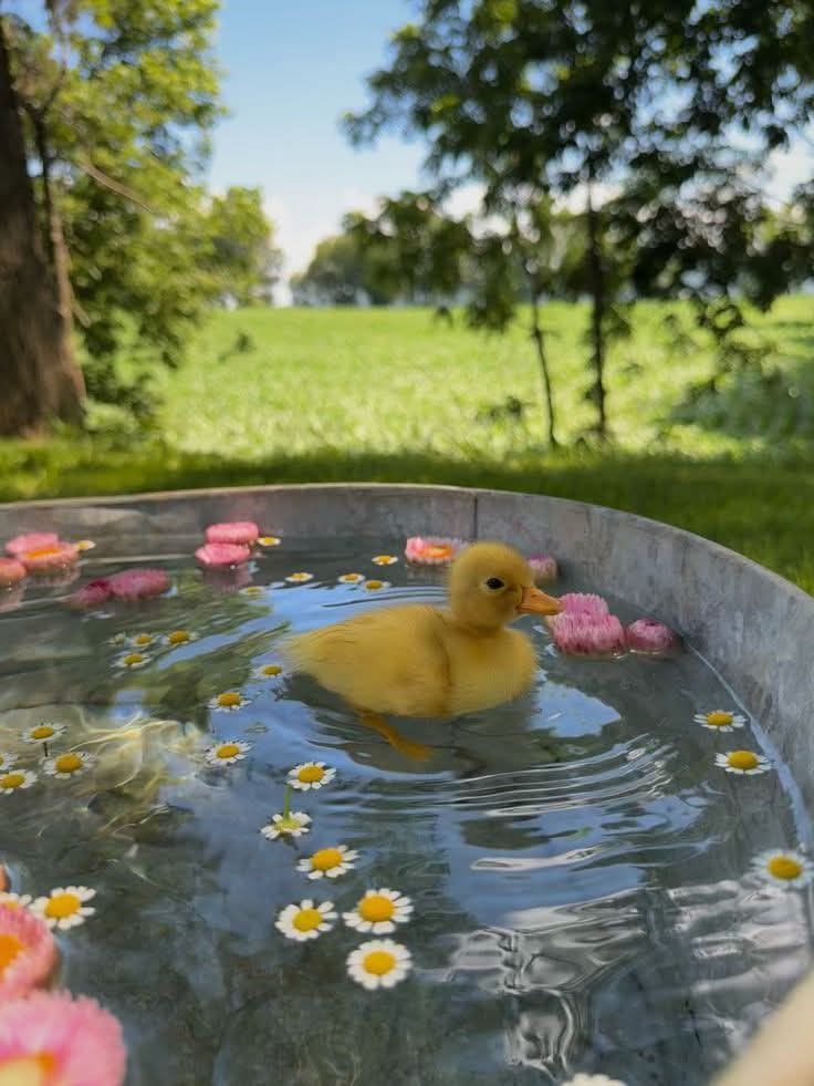 greenvibe's tweet image. cute