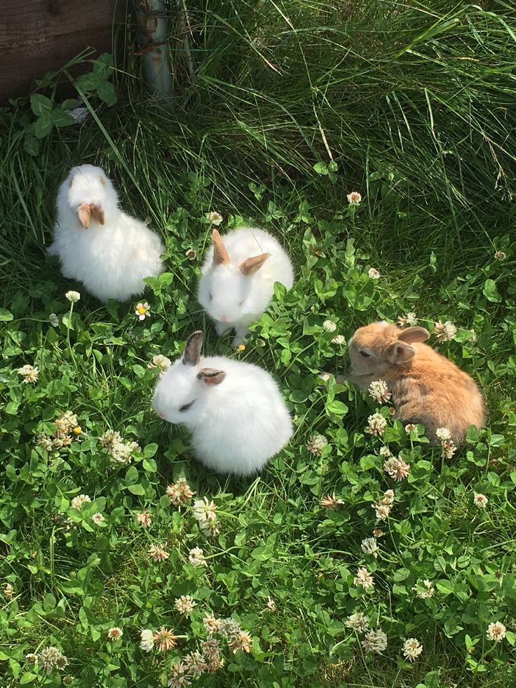 greenvibe's tweet image. cute