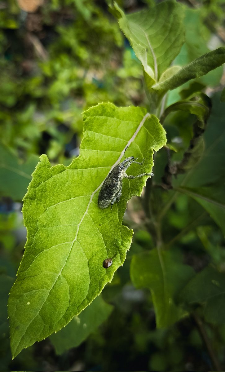 The little things that makes Nature...