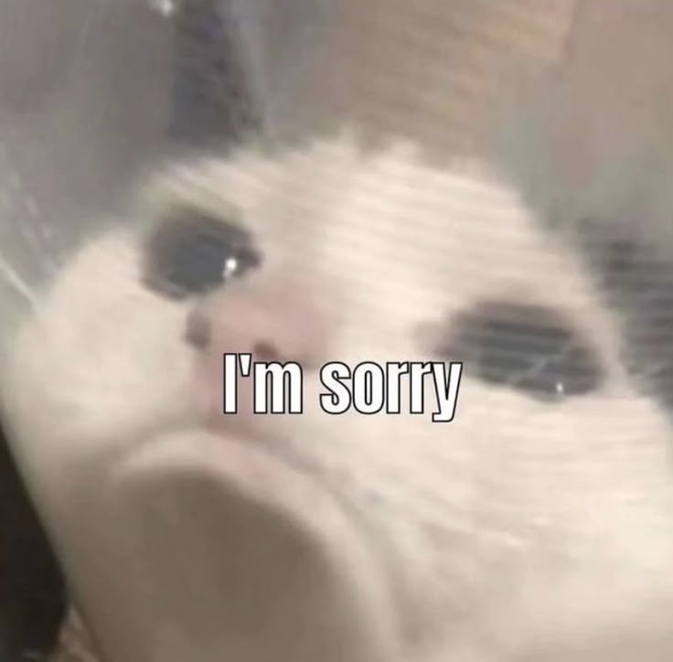 vizzllimee's tweet image. I&apos;m sorry to my friends being inactive . because of my collage tasks buried me down 😿.

 even I don&apos;t have chance for making personal art or something I love 

I hope you guys didn&apos;t forget about me , I&apos;ll be back soon ✨