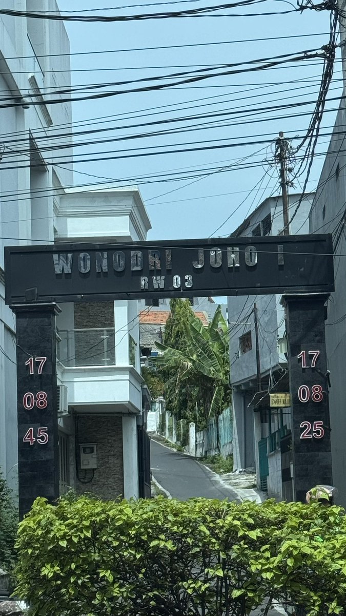 비안 tweet media