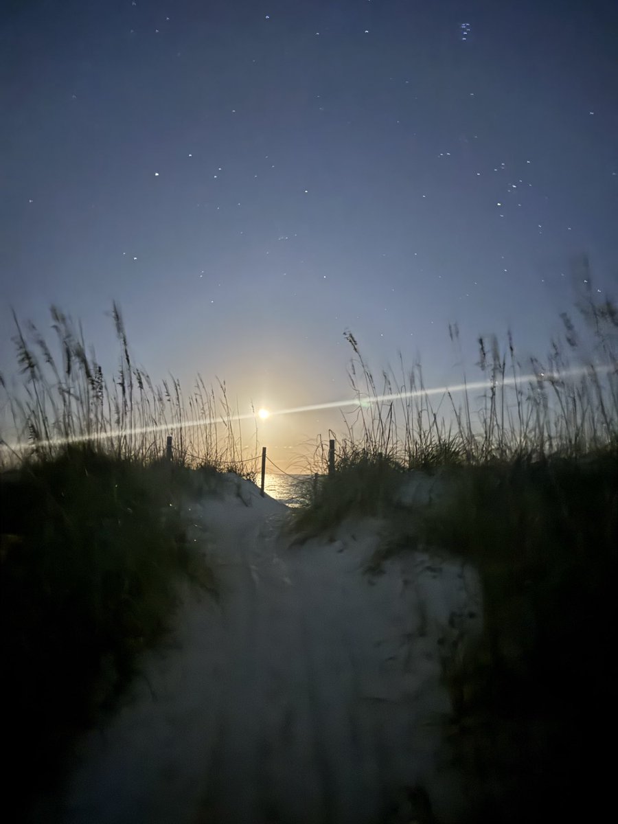 fiestamule's tweet image. It’s not cake - close enough #pizzabytheocean #stonerfam #pizza