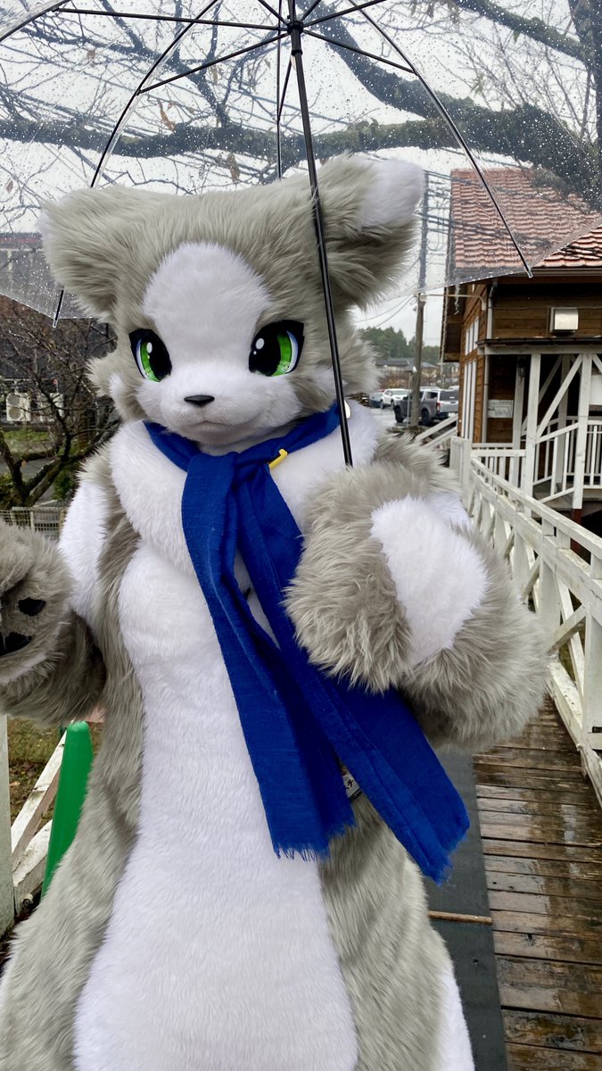 スチル「ケモコン18、3日目。朝から雨なう」
#Kemocon