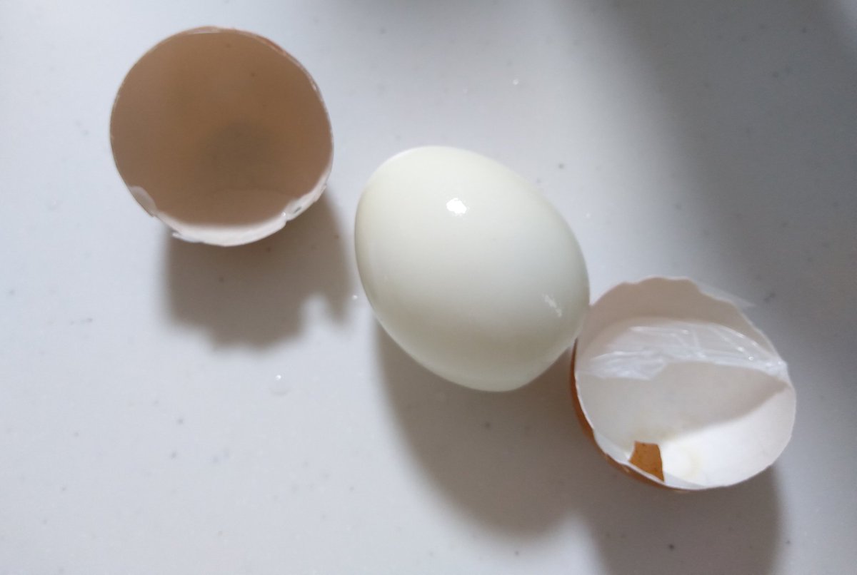 ゆで卵うまくむけなくてボコボコになる人多いけど、それは冷やし方が不十分だから🚰
ちゃんと冷やしたらこんなに簡単につるりとむけるんだよ🐣
水で冷やして試しに1個持ち上げたときに10秒ぐらいしても卵が温かくならなければ大丈夫🙆
#ゆで卵