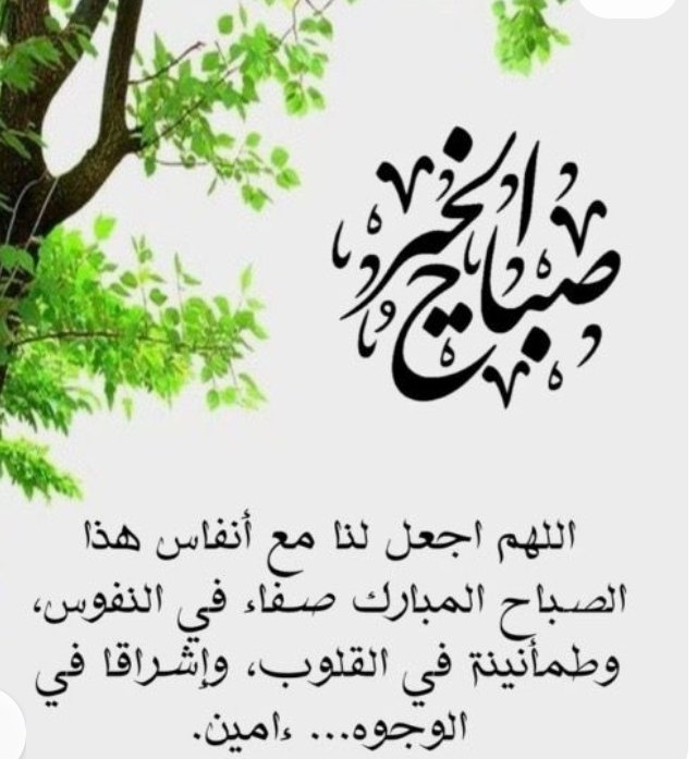 shamsalsadh's tweet photo. اللهم إنا أصبحنا منك في نعمةٍ وعافيةٍ وسَتر، فأتمم نعمتك علينا دنيا وآخرة،
اللهم اجعلنا في هذا الصباح من المقبولين، وارزقنا الإخلاص في القول والعمل،
ووفّقنا لكل ما تحب وترضى، واصرف عنّا السوء وأهله، واملأ قلوبنا نورًا لا ينطفئ أبدًا. 

صباح الخير🌼 https://t.co/0FWHYeza7O