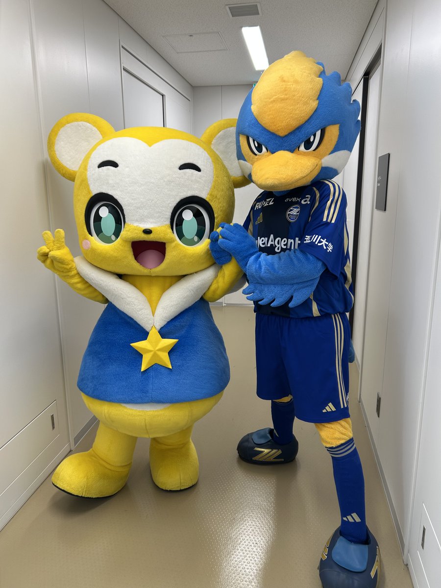 本日クマーバは、J１リーグ
「FC町田ゼルビア vs FC東京（@国立競技場）」の
キックインセレモニーに登場します！

ただいまゼルビーに教わりながら練習中！
クマーバの活躍にご期待ください！

#THE国立DAY #1109FC東京 
#FC町田ゼルビア #zelvia #Jリーグ