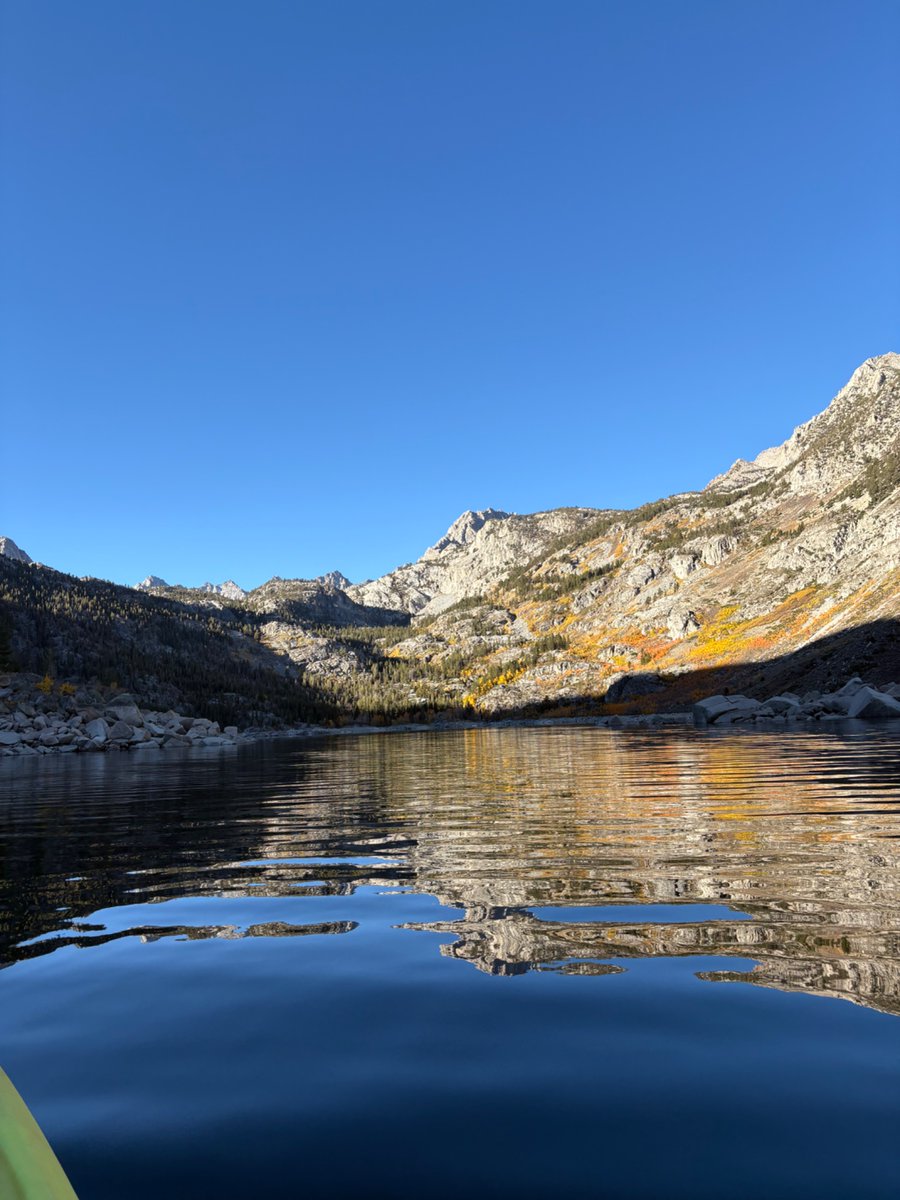 whatsthere tweet media