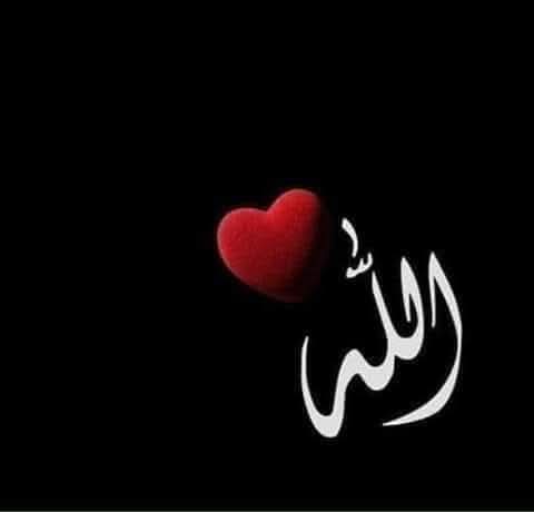 🥀السلام علیکم ورحمتہ اللہ وبرکات🥀

سورة الروم - Ayat No 50

پس آپ رحمت الٰہی کے آثار دیکھیں کہ  زمین  کی موت کے بعد کس طرح اللہ تعالٰی اسے  زندہ  کر دیتا ہے؟ کچھ  شک  نہیں کہ وہی مردوں کو  زندہ  کرنے والا ہے اور وہ ہر چیز پر قادر ہے ۔ 
#محبت_مافیا