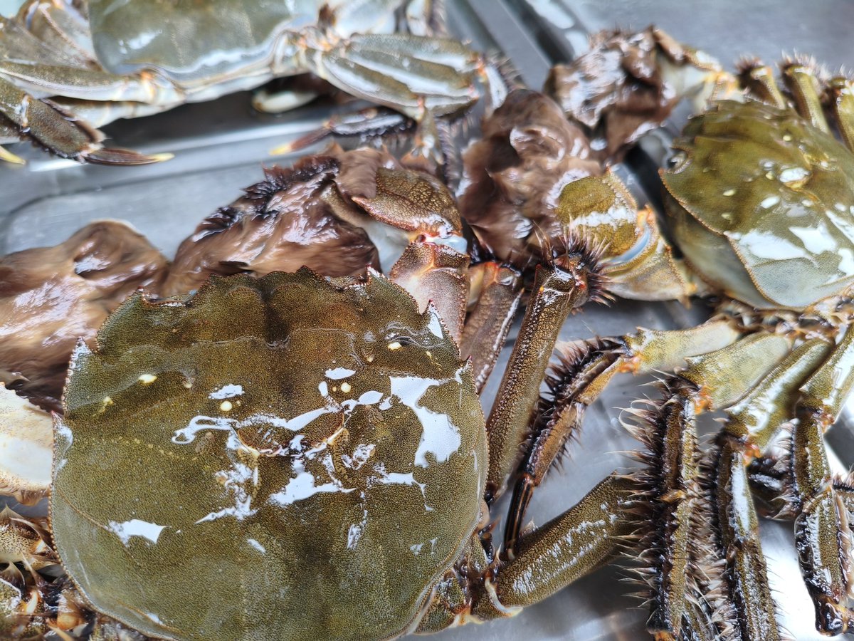 ✧✧✧ ちびくろ✧✧✧ ちびくろ on X