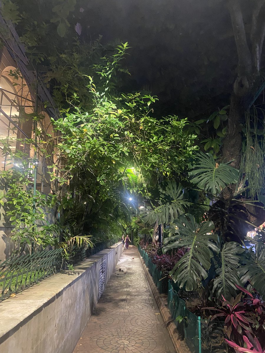 Siempre hay caminos.