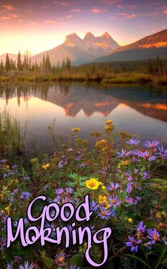 RubyT46632's tweet image. Good morning to all..