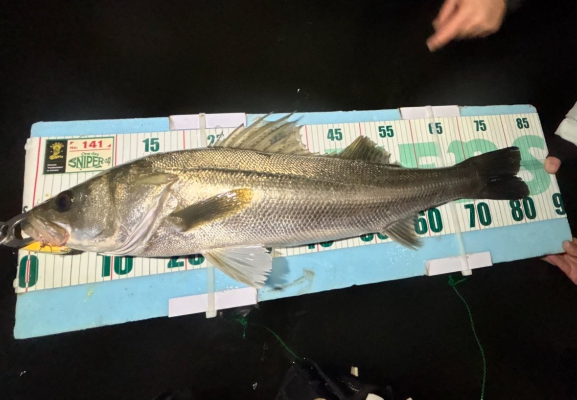 Muto (@Cameler89) / Posts and Replies / X