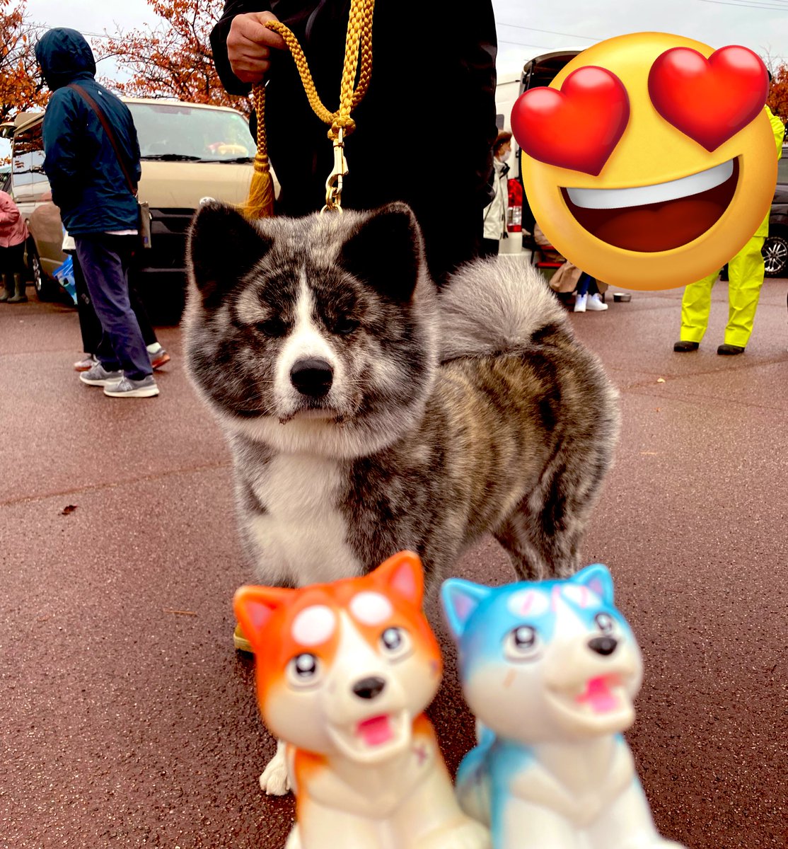 銀牙ソフビ ホビーラウンド33 ホビーラウンド33 – Hobby JAPAN Web