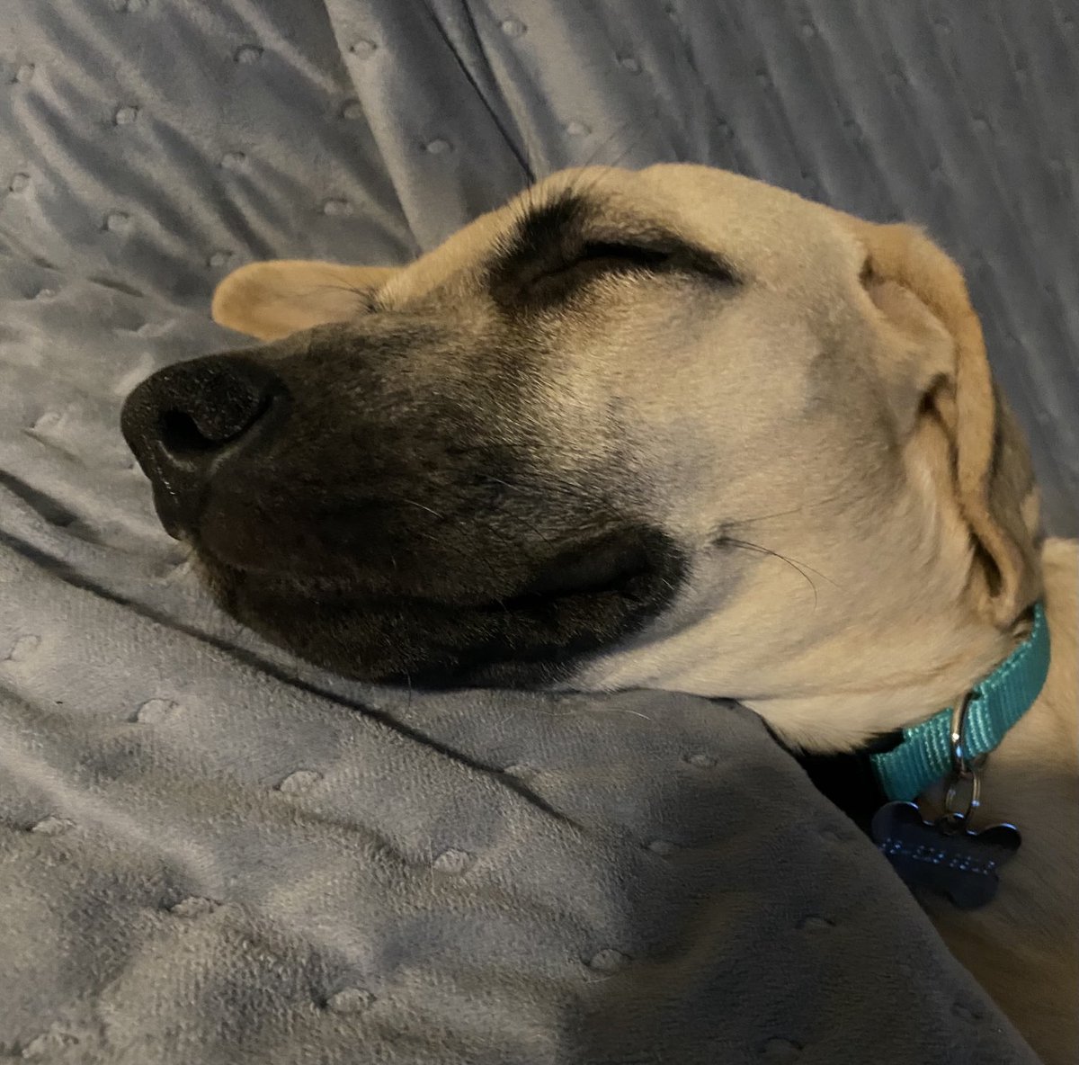 NiceGuyEricFitz tweet media