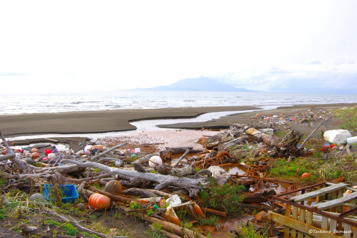 polaris_guides's tweet image. 【悲しい現実、漂着ゴミ😢】
ここは夕陽が美しい #稚咲内海岸 です。海側は綺麗な景色なのですが、反対側の砂浜は大量の #漂着ゴミで 埋め尽くされています…。残念ながら #国立公園 内の悲しい現実です💦

#海洋ゴミ 問題に関心が集まる中、このような課題もあることを知っていただければと思います🙇