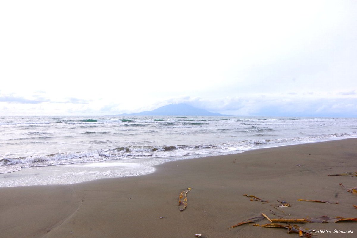 polaris_guides's tweet image. 【悲しい現実、漂着ゴミ😢】
ここは夕陽が美しい #稚咲内海岸 です。海側は綺麗な景色なのですが、反対側の砂浜は大量の #漂着ゴミで 埋め尽くされています…。残念ながら #国立公園 内の悲しい現実です💦

#海洋ゴミ 問題に関心が集まる中、このような課題もあることを知っていただければと思います🙇