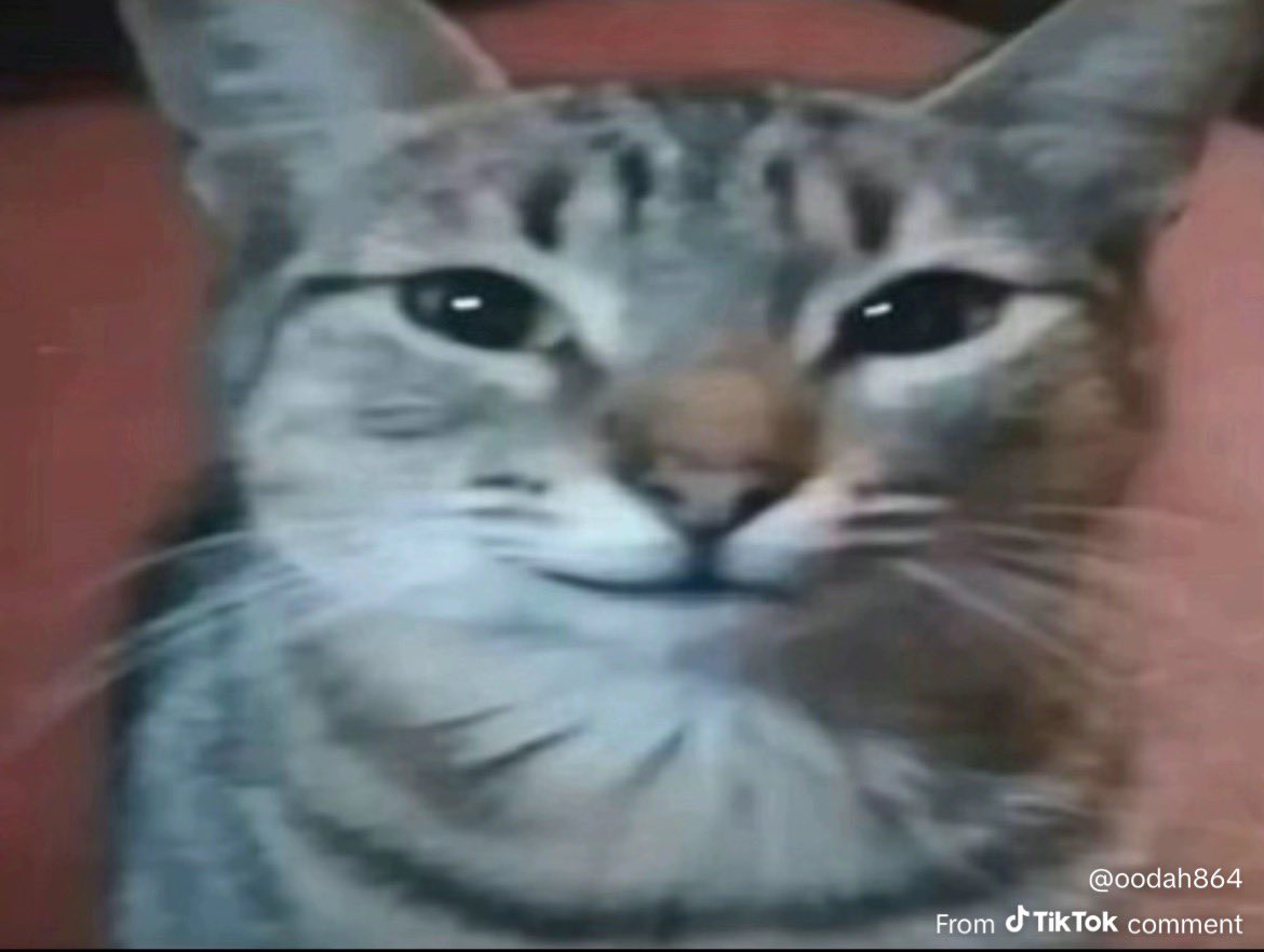 league 😸
Twitch.tv/shaimasu